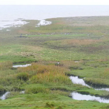 דירה 4 Person In Romo-by Traum